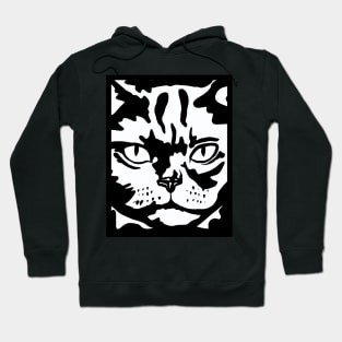 Serious Cat Hoodie